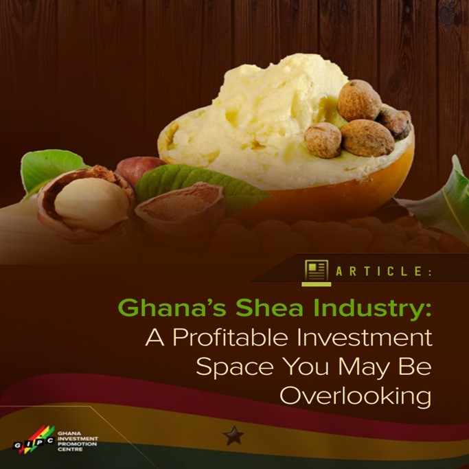 shea nut industry in ghana